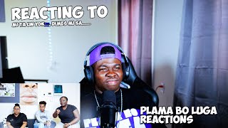 Trgxzie Reacting to ''MI TA UN YDK🇨🇼, DIMES MI SA......'' | #papiamentu