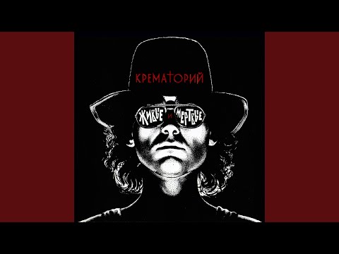 YouTube에서 Sexy Cat 보기 YouTube에서 Sexy Cat 보기