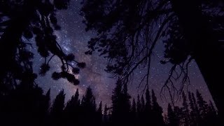 Star Cluster Research