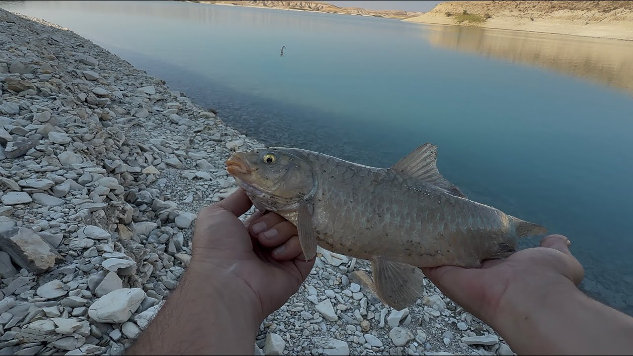 Atatürk barajı at çek balık avı boş yok! Suda dev şabutlar! #atatürk #fishing #tunafish
