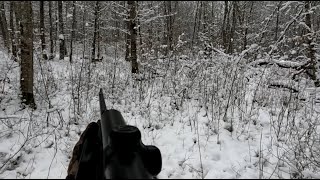 chasse en battue sous la neige.