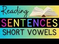 Understanding Sentences and Short Vowels