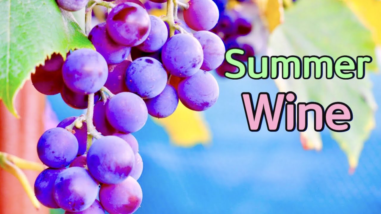 썸머와인 / Summer Wine YouTube