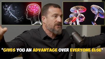 NEUROSCIENTIST: How To Use Psychedelics To Rewire Your Brain