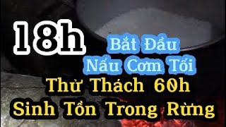 Ăn Cơm Tối Trong Rừng có gì lạ? Thử Thách 60h Sinh Tồn (p18)