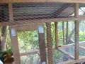 Ison's Completed Rabbit Hutch Ison's Completed Rabbit Hutch