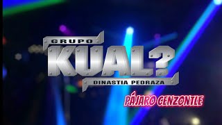 Video thumbnail of "Pájaro Cenzontle - Grupo Kual? (Video Lyrics)"