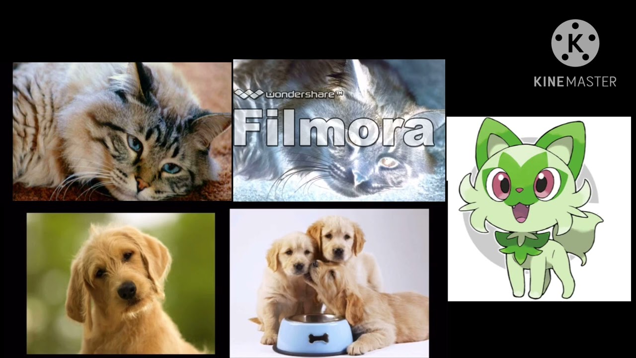 All Baby Mozart Animals Faces at the Same Time