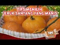 TIPS MEMILIH JERUK SANTANG YANG MANIS DAN BAGUS