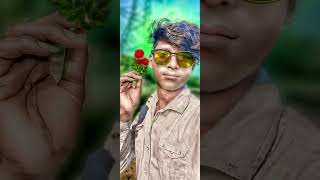 Samesea Ka Hai Jesomar Ma Kirear Banna Sasor Os Omr Dil Lag Jata Hai