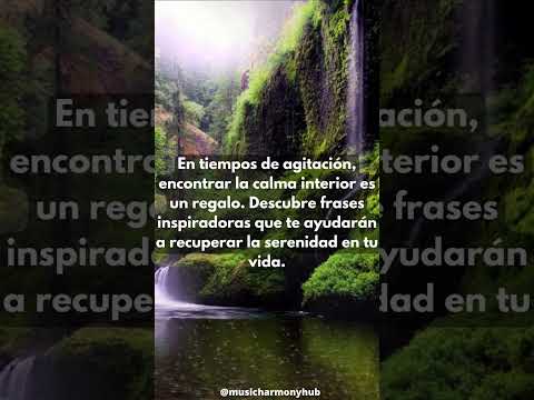 Recuperando la calma
