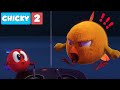 Where's Chicky? | CHICKY VS POYO | Chicky Cartoon in English for Kids