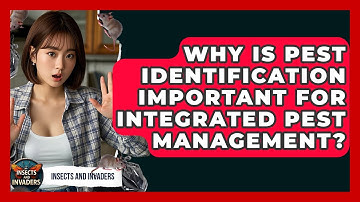 Why Is Pest Identification Important For Integrated Pest Management? - Insects and Invaders