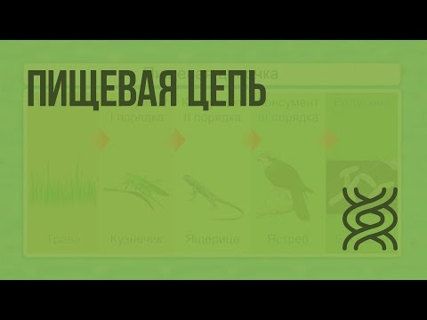 Пищевые цепи. Взаимосвязь компонентов биоценоза. Видеоурок по биологии 7 класс