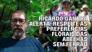 RICARDO GANDRA ALERTA: RESPEITE AS PREFERÊNCIAS FLORAIS DAS ABELHAS SEM FERRÃO
