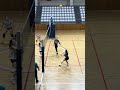 (899) Good Game Tuzla Rekor vs Dev Adım U16 Game #volleyball #sultanlarligi #voleybol #sports