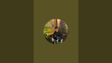 Sáng tạo thủ công quê hương cổ truyền