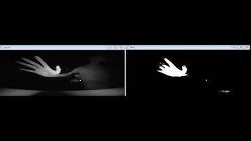 Get IR Image from Leap Motion using OpenCV