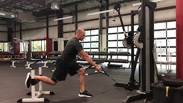 EricCressey.com: Rear Foot Elevated 1-arm Low Cable Row