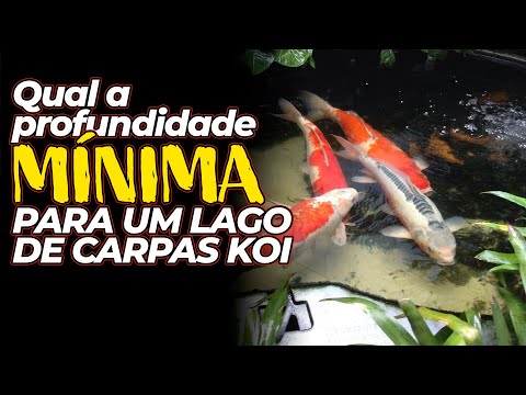 Vídeo: Qual a profundidade do lago lealhanna?