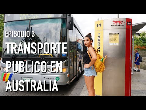 Video: 4 formas de tomar un autobús