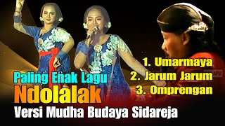 Koleksi Lagu Ndolalak Paling Enak 2022 || Bersama Mudha Budaya Dalang Tejo Gubrag Sidareja