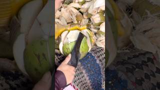 Green Mature Coconut Cutting Skill - Fruits Cutting Skill