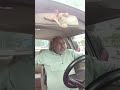 Delhi mein ho rahi kutton per pabandi lekin choron Ne Seva Jo per koi bhi kaarvayi nahin