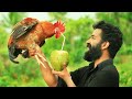 Primitive Technology - COCONUT CHICKEN - Cooking Skill | M4 TECH VLOG |