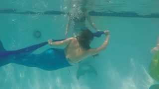 Mermaid Didem of New York, USA. World of Swimming.