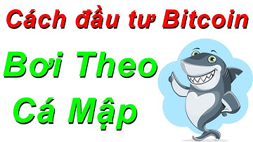 Cách Đầu Tư Bitcoin Bơi Theo Cá Mập - Thà Rớt Nước Miếng Còn Hơn Rớt Nước Mắt | CHN PRO TRADING