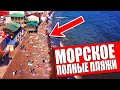 Посёлок МОРСКОЕ. Обзор жилья в КЕМПИНГЕ. Нет МЕСТ на пляже. Крым 2020.
