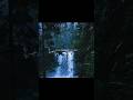 Wishes💫 || Aesthetic || Lyrics || Talvinder || #viral #trending #lyrics #wishes #shorts