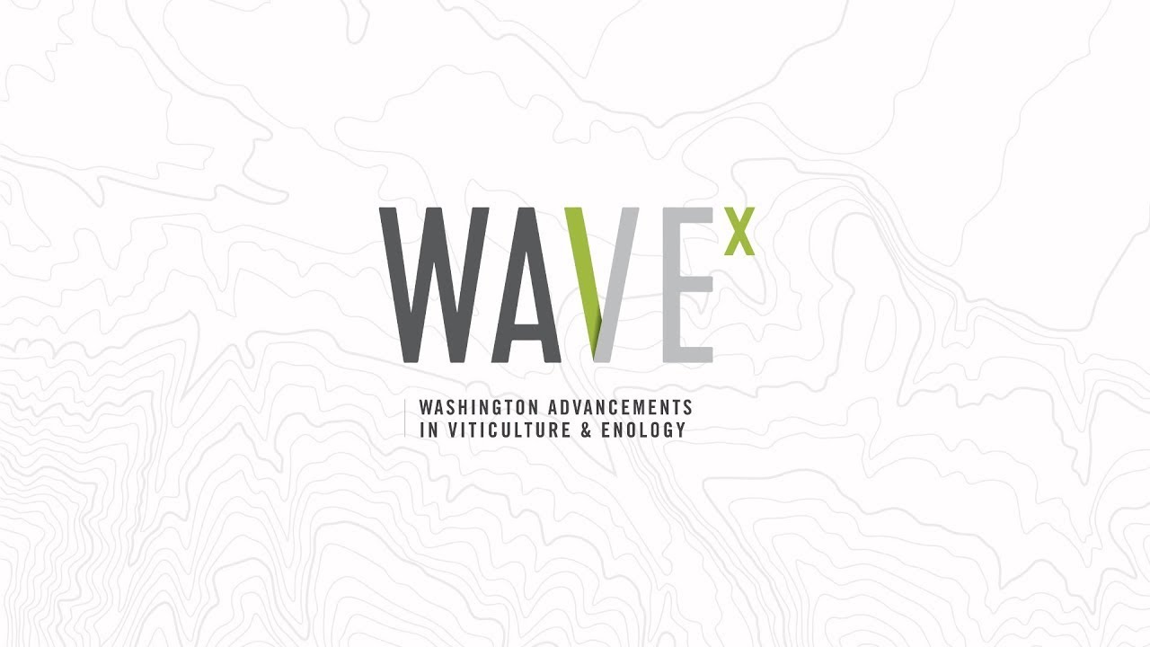 WAVEx Webinar | Economics of Vineyard Mechanization | January 21, 2021