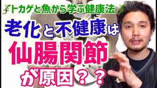 気づかず忍び寄る老化は【仙腸関節】が原因？| 脊椎動物から学ぶ超健康法