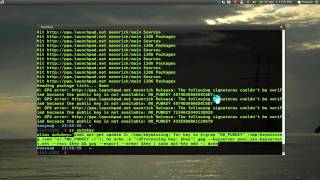 Auto Get Missing GPG PPA Launchpad Keys - Ubuntu 10.10