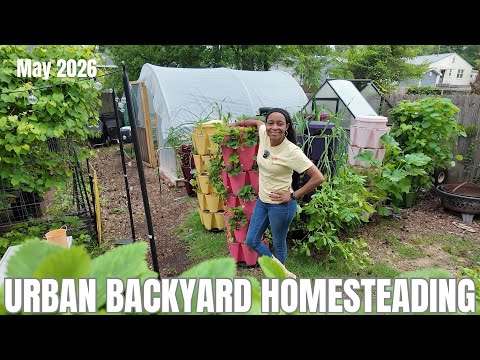 Urban Garden Tour | Detailed Tour of Greenstalks and Greenhouses | Virginia, Zone 7B