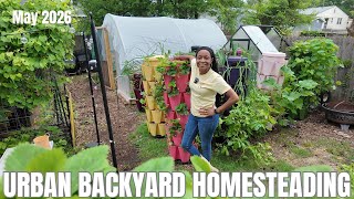 Urban Garden Tour | Detailed Tour of Greenstalks and Greenhouses | Virginia, Zone 7B