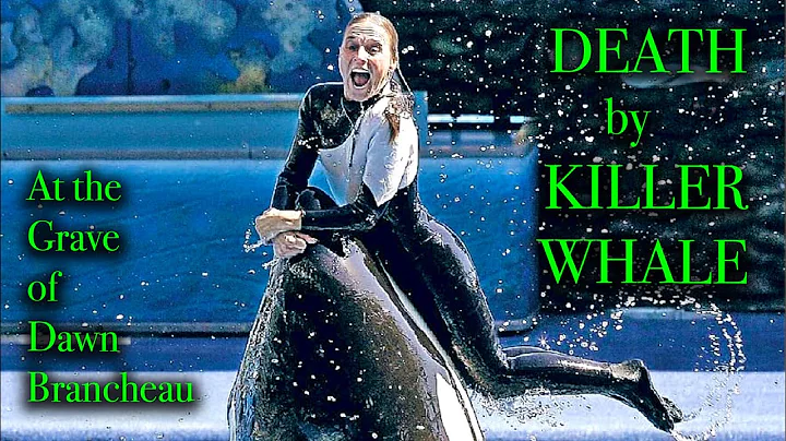 ORCA ATTACK - TRAINER IS KILLED - The Tragic Story...