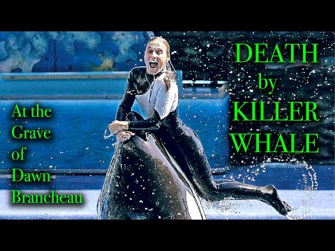 Tilikum Kills Dawn Autopsy Photos