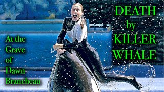 Orca Attack - The Tragic Story Of Dawn Brancheau, At Her Gravesite In Illinois.