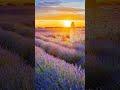 اسلام كابونجا الحمدلله علي أفقر الجدعنه اسلام كابونجا الحمدلله علي أفقر الجدعنه