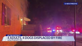 Apartment fire in Southeast DC displaces four adults, four dogs