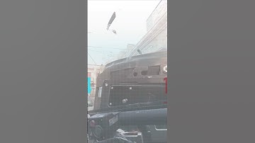 Spectating Riot Shield vs Riot Shield in SnD | CoD MW3