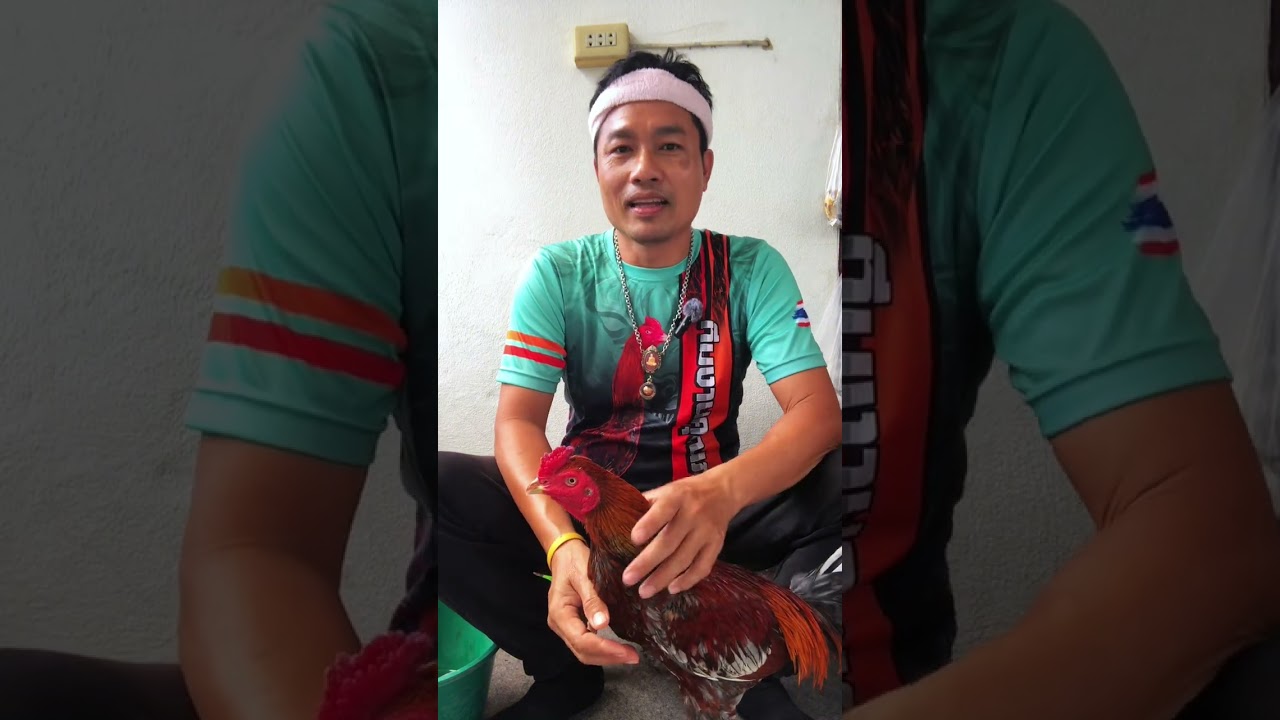 26 กุมภาพันธ์ 2569