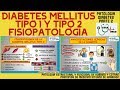 FISIOPATOLOGÍA DE LA DIABETES MELLITUS TIPO 1 Y TIPO 2 | GuiaMed