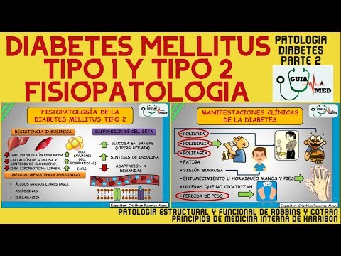 Vidéo: Genética De La Diabetes Tipo 2: Factores Ambientales Y Más