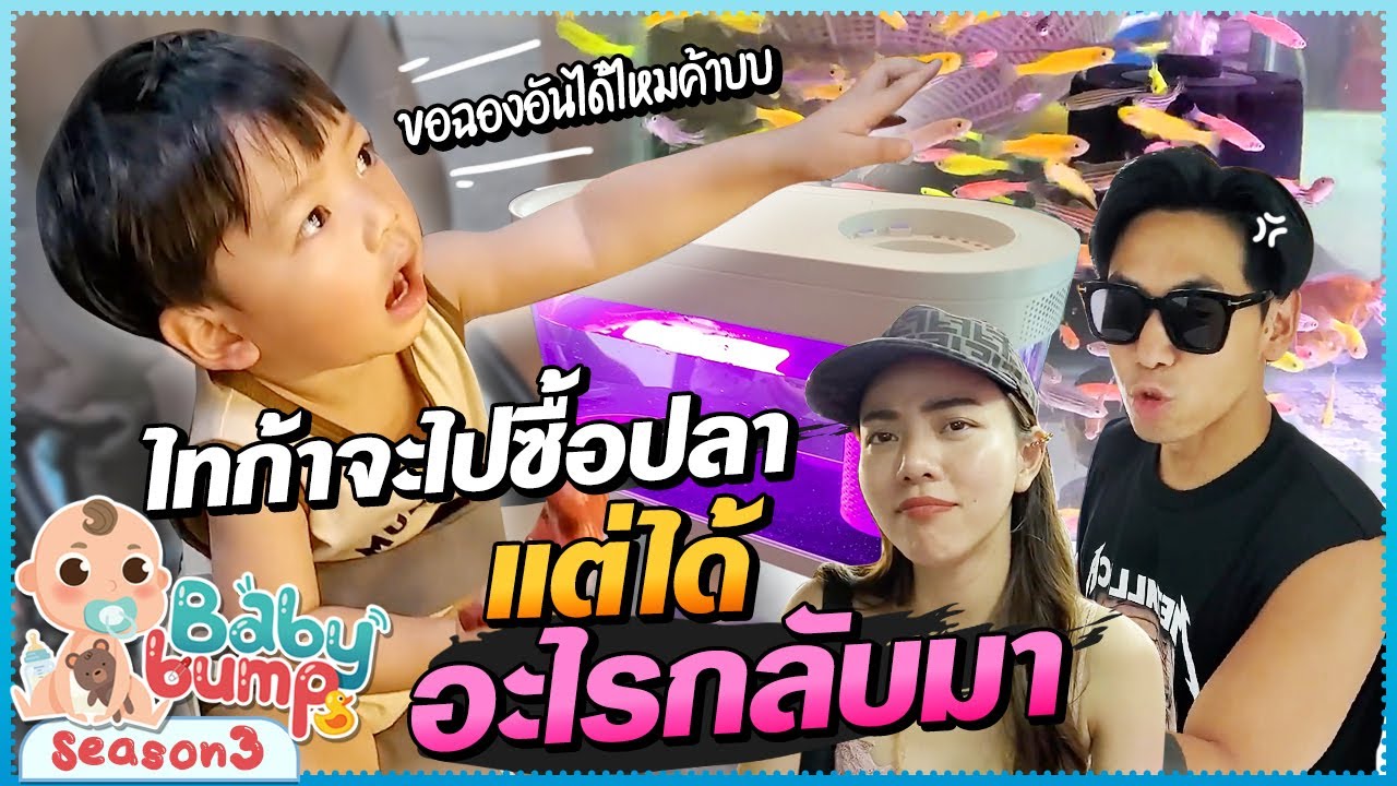 ไทก้าจะไปซื้อปลาที่เจเจ แต่ได้อะไรกลับมากันนะ?? EP.57 | Baby Bump 3