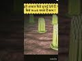 हमे आवाज कैसे सुनाई देती है || How ear work ? #facts #viralfacts