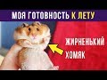 Приколы. К ЛЕТУ ГОТОВ | Мемозг #84